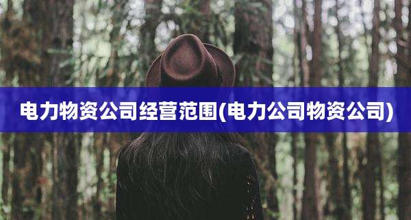 电力物资公司经营范围(电力公司物资公司)