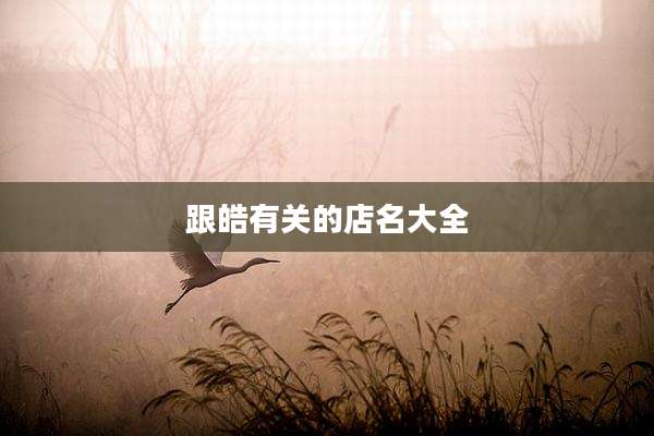 跟皓有关的店名大全