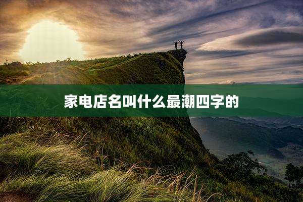 家电店名叫什么最潮四字的