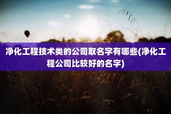 净化工程技术类的公司取名字有哪些(净化工程公司比较好的名字)