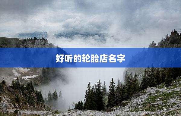 好听的轮胎店名字