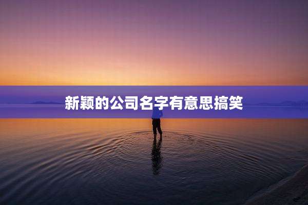 新颖的公司名字有意思搞笑