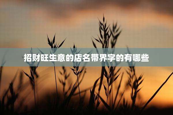 招财旺生意的店名带界字的有哪些