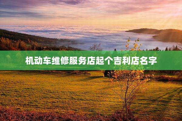 机动车维修服务店起个吉利店名字