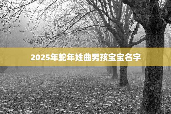 2025年蛇年姓曲男孩宝宝名字
