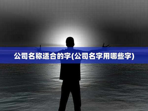 公司名称适合的字(公司名字用哪些字)