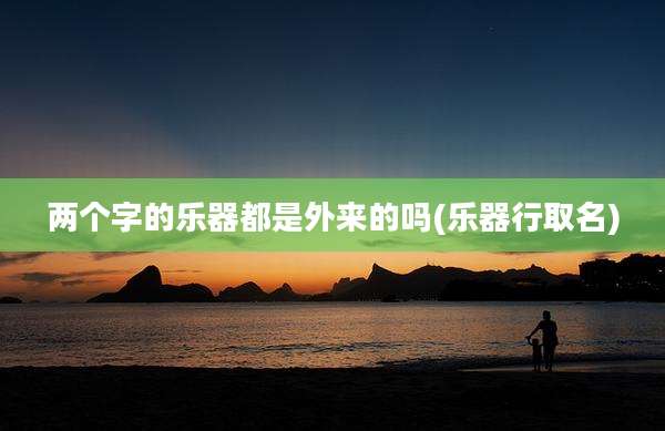 两个字的乐器都是外来的吗(乐器行取名)