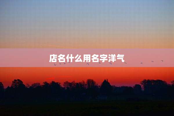 店名什么用名字洋气