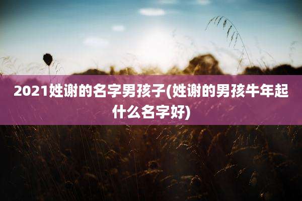 2021姓谢的名字男孩子(姓谢的男孩牛年起什么名字好)