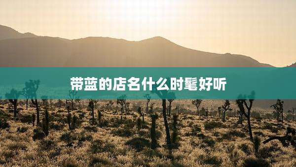 带蓝的店名什么时髦好听