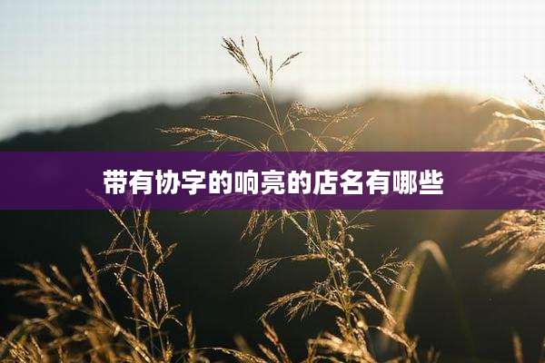 带有协字的响亮的店名有哪些