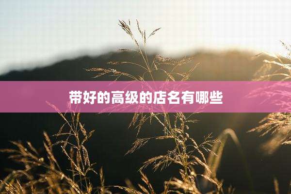 带好的高级的店名有哪些