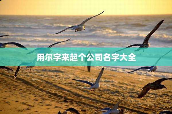 用尔字来起个公司名字大全
