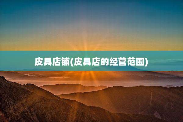 皮具店铺(皮具店的经营范围)