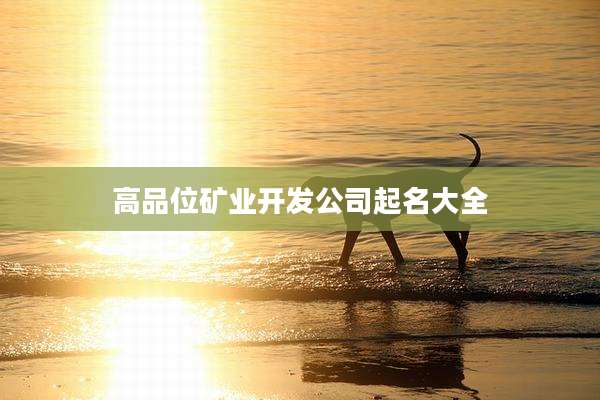 高品位矿业开发公司起名大全