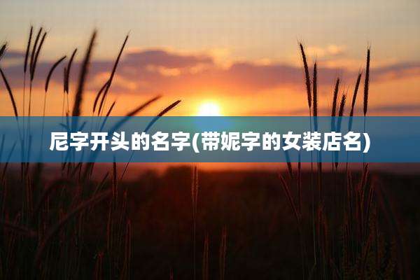尼字开头的名字(带妮字的女装店名)