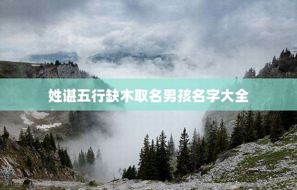 姓谌五行缺木取名男孩名字大全