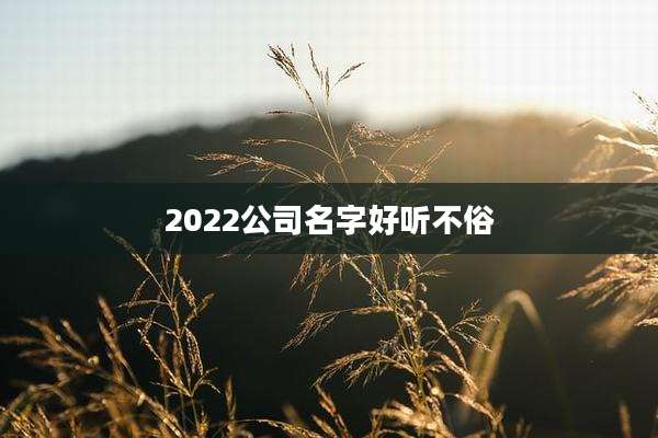 2022公司名字好听不俗