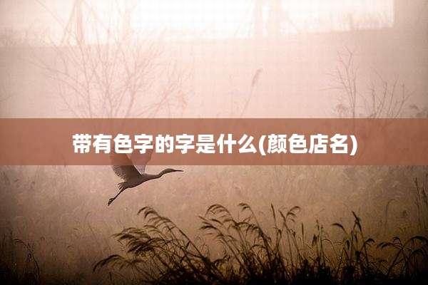 带有色字的字是什么(颜色店名)