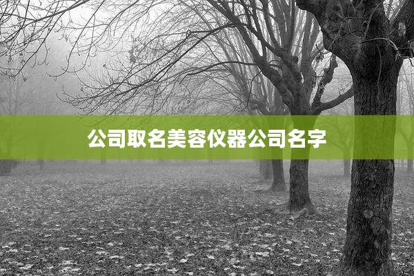 公司取名美容仪器公司名字