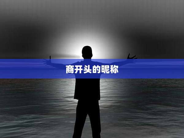 商开头的昵称