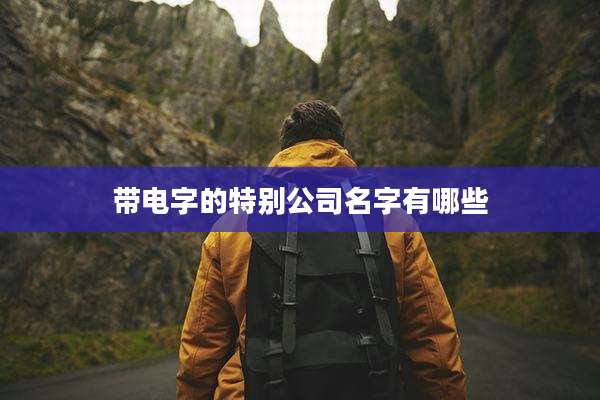 带电字的特别公司名字有哪些