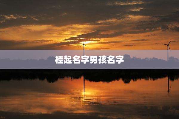 桂起名字男孩名字