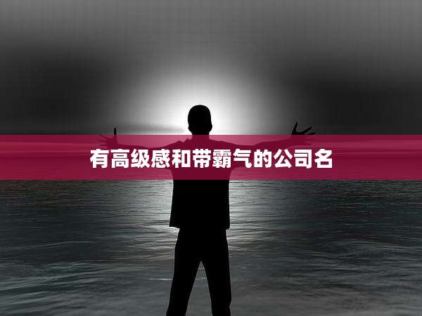 有高级感和带霸气的公司名
