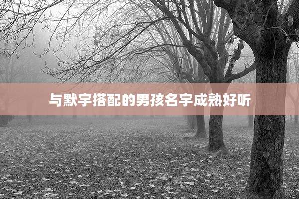 与默字搭配的男孩名字成熟好听