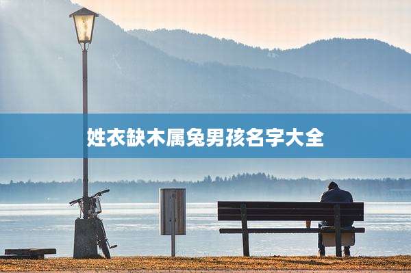 姓衣缺木属兔男孩名字大全