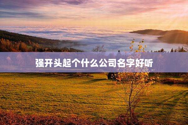 强开头起个什么公司名字好听