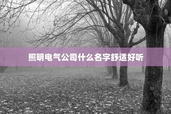 照明电气公司什么名字舒适好听