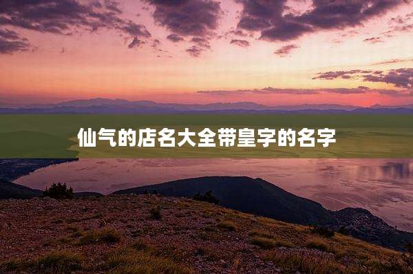 仙气的店名大全带皇字的名字