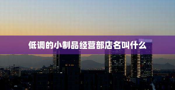 低调的小制品经营部店名叫什么