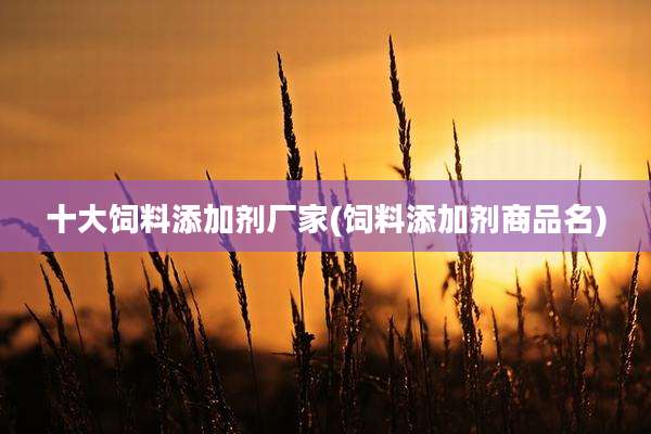 十大饲料添加剂厂家(饲料添加剂商品名)