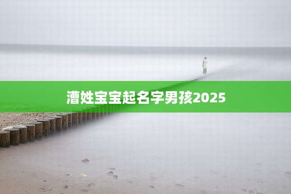 漕姓宝宝起名字男孩2025