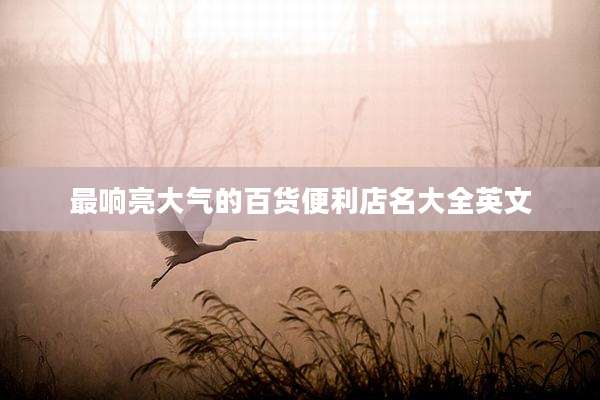 最响亮大气的百货便利店名大全英文