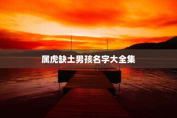 属虎缺土男孩名字大全集