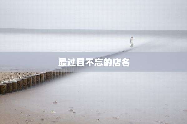 最过目不忘的店名
