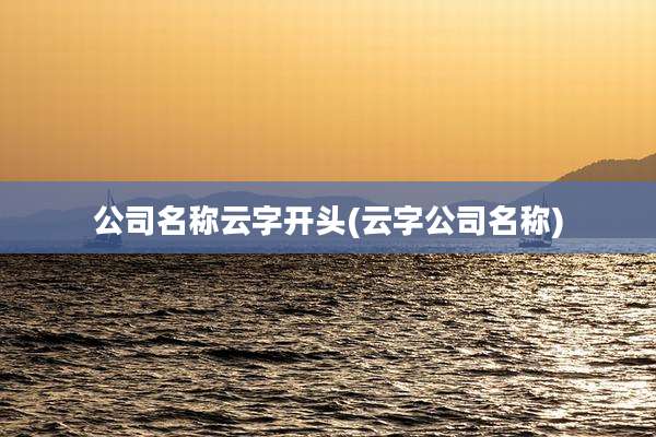 公司名称云字开头(云字公司名称)