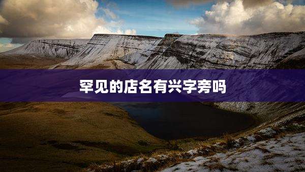 罕见的店名有兴字旁吗