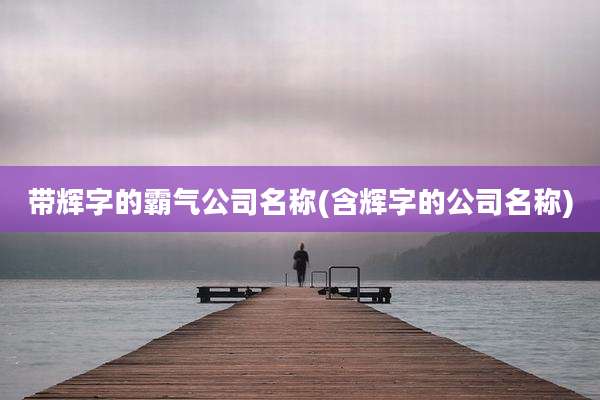 带辉字的霸气公司名称(含辉字的公司名称)