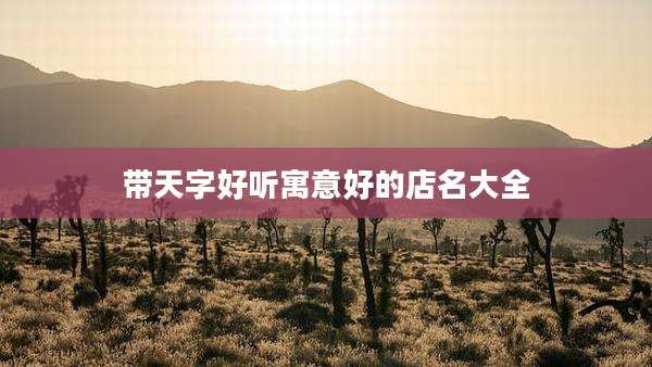 带天字好听寓意好的店名大全