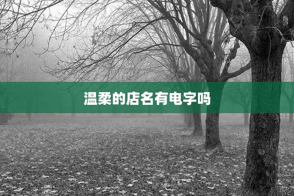 温柔的店名有电字吗