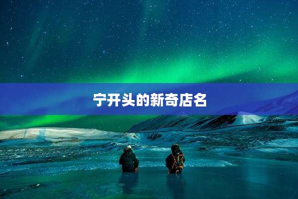 宁开头的新奇店名