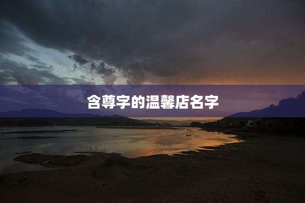 含尊字的温馨店名字