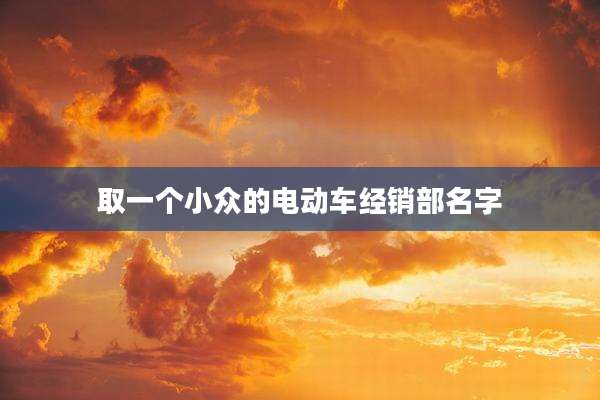 取一个小众的电动车经销部名字