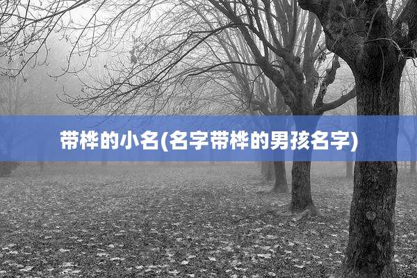 带桦的小名(名字带桦的男孩名字)