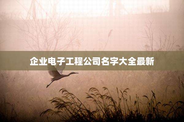 企业电子工程公司名字大全最新
