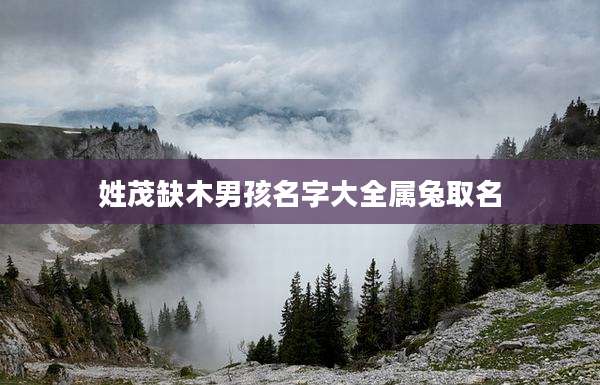 姓茂缺木男孩名字大全属兔取名